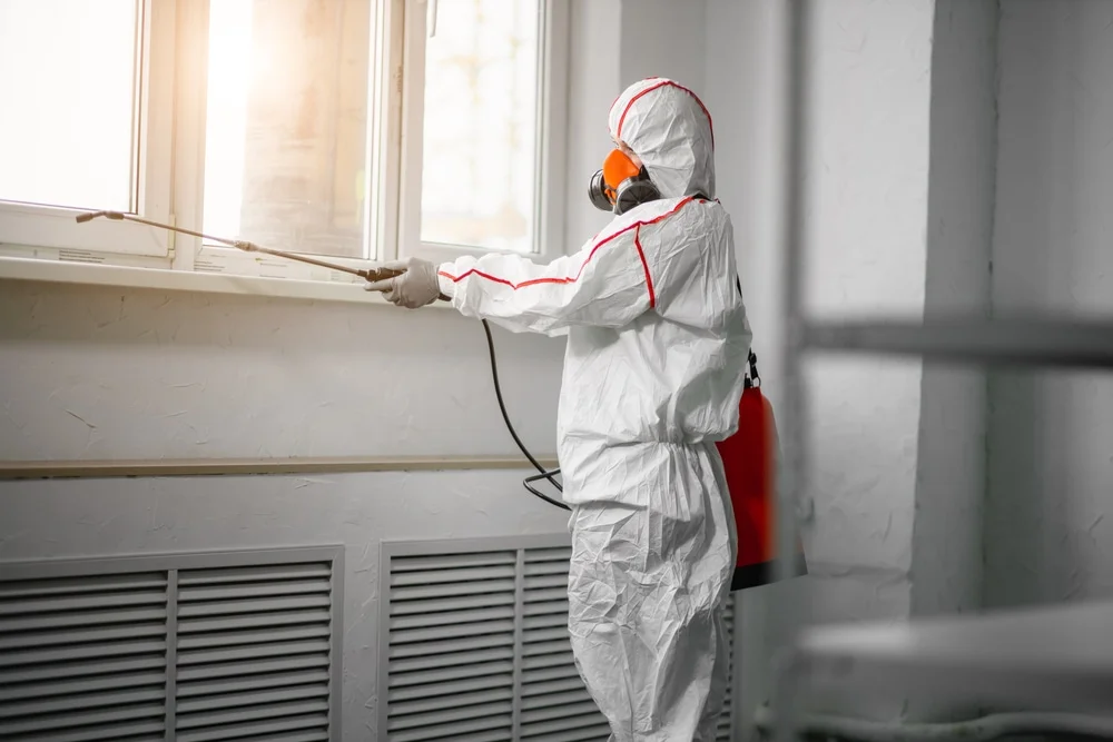 Professional mold remediation services in Butler, NJ